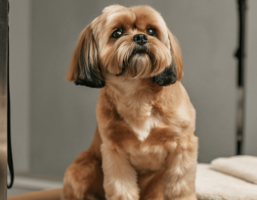 Укажите название услуги или специального предложения